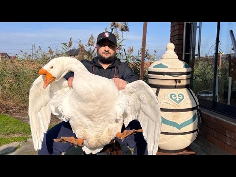 Видео: Шашлык из домашнего Гуся Великана в Тандыре. Дикий рецепт