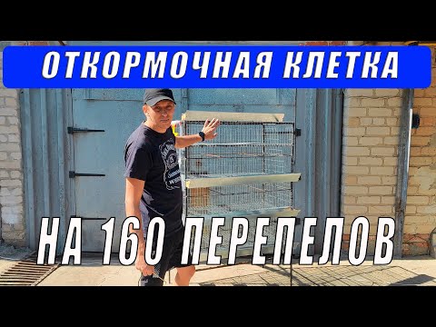 Видео: Откормочная клетка на 160 перепелов — полный обзор