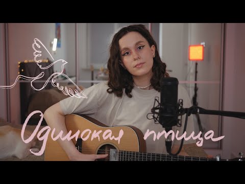 Видео: наутилус помпіліус - одинокая птица 🕊️ (umilele кавер)