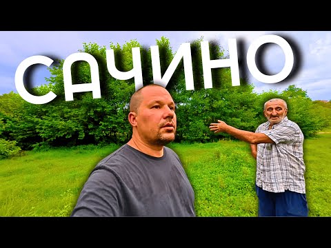 Видео: ПРЕЛЕСТЬ ГРУЗИНСКОЙ ДЕРЕВНИ: Жизнь, которую стоит увидеть!