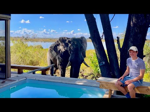 Видео: WILDERNESS VUMBURA PLAINS | Pоскошный сафари-отель в дельте реки Окаванго в Ботсване (полный тур)