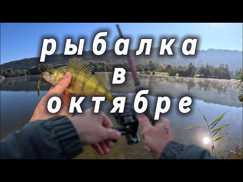 Видео: рыбалка на озере в октябре