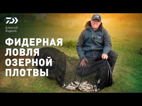 Видео: ФИДЕРНАЯ ЛОВЛЯ ОЗЁРНОЙ ПЛОТВЫ x АЛЕКСЕЙ ФАДЕЕВ