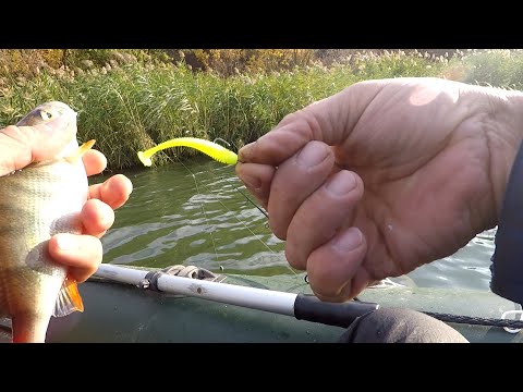 Видео: Осенний ЖОР! ОКУНЬ Атакует На Каждом Забросе. Jig fishing