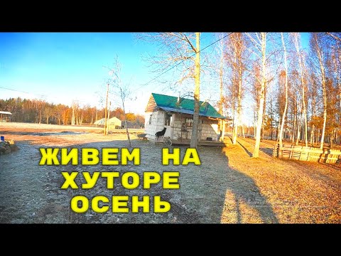 Видео: Как мы живем на ХУТОРЕ осенью.