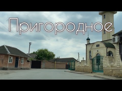 Видео: Пригородное