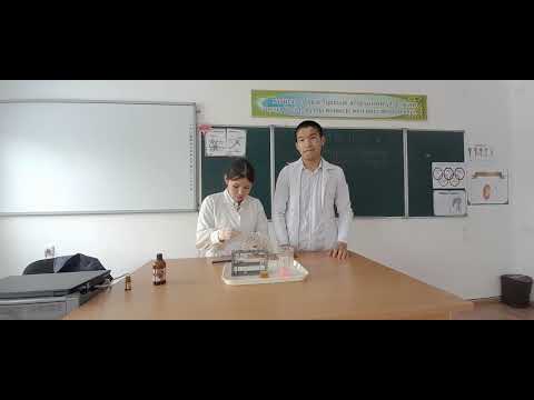 Видео: зертханалық жұмыс "Өттің әсерінен майлардың  эмульгациялануы" Есбол орта мектебі