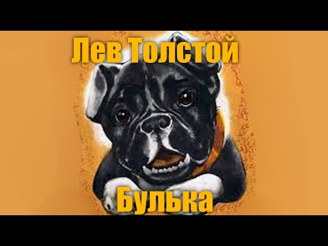 Видео: Л.Н.Толстой "Булька"