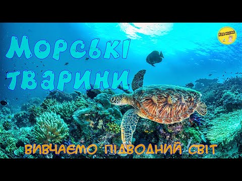 Видео: МОРСКИЕ ЖИВОТНЫЕ | РАЗВИВАЮЩИЕ ВИДЕО для детей | Изучаем подводный мир