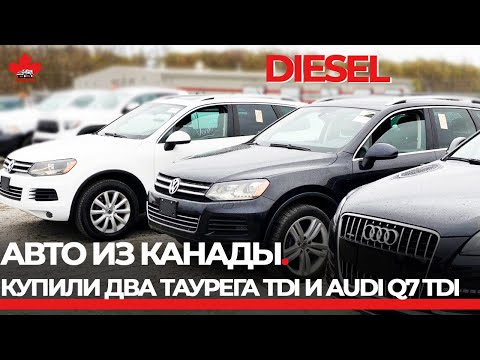 Видео: Авто из Канады. Купили  три авто. 2 дизельных Touareg TDI и 1 AUDI Q7 TDI. От аукциона до контейнера