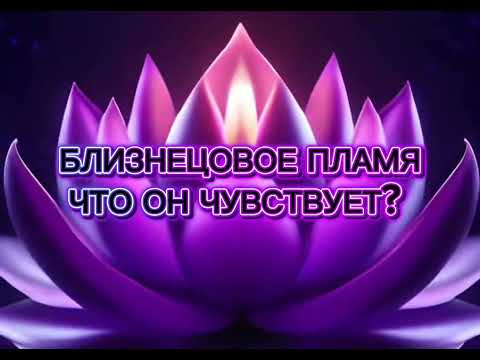 Видео: Что чувствует ваше близнецовое пламя?