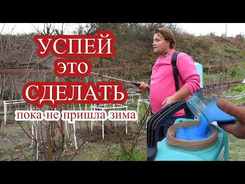 Видео: НЕ РЕЖЕМ СМОРОДИНУ ОСЕНЬЮ или как нужно готовить сад к зиме