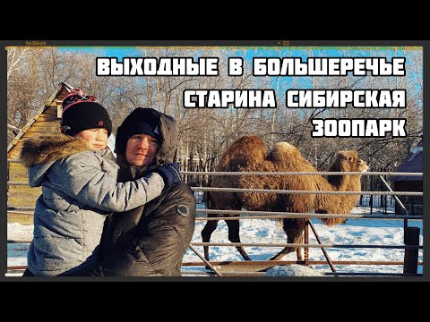 Видео: Как провести выходные зимой в Большеречье Омская область. Старина сибирская. Большереченский зоопарк