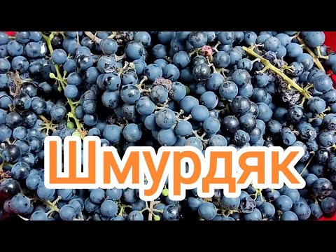 Видео: Шмурдяк классический. Виноградный 