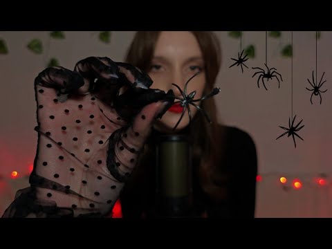 Видео: Асмр Паутинка | Asmr Spider Web