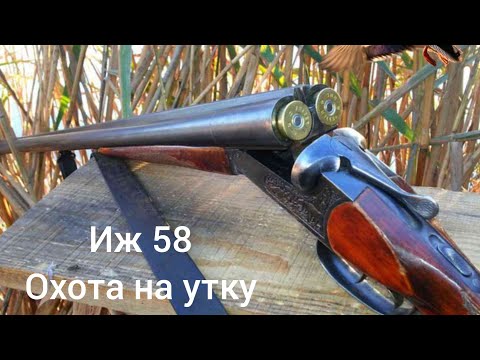 Видео: иж 58 12к и иж 27 20к. охота на утку 2022. охота с горизонталкой