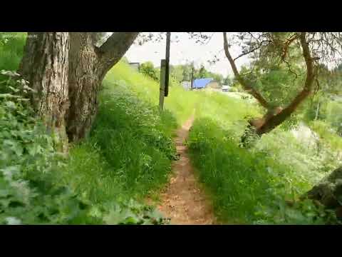 Видео: Прохват по Красавино Зверинец Городище Лапино