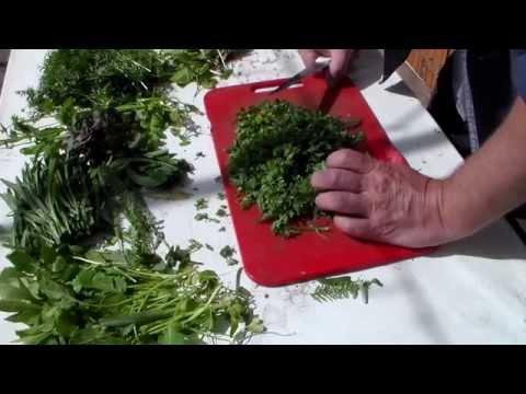 Видео: Применение ЭМ5  микробиологическое средство защиты растений