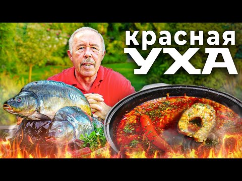 Видео: КРАСНАЯ УХА в КАЗАНЕ на КОСТРЕ. УХА из КАРПА. НОВИНКА в ПРИГОТОВЛЕНИИ УХИ.