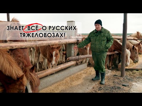 Видео: 💥 Витас – не певец, а жеребец! / Где Президент покупал коня? / Русские тяжеловозы покоряют Беларусь!