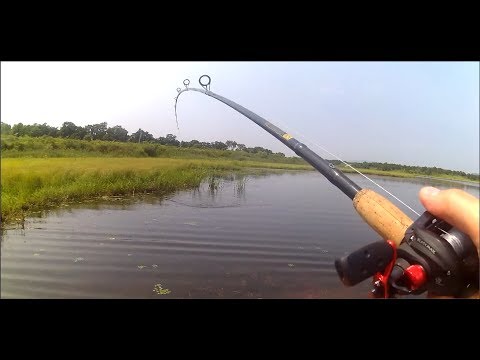 Видео: Убойная рыбалка на змееголова