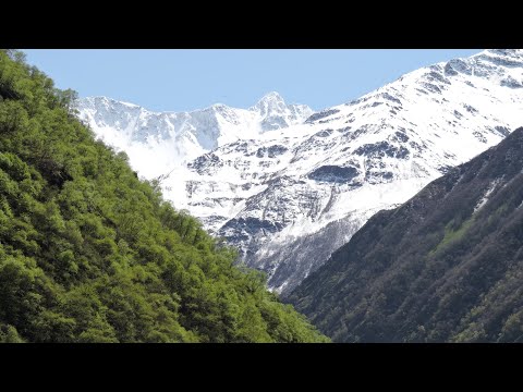 Видео: Хуландой