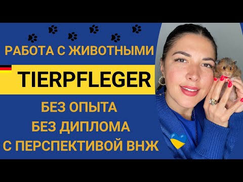 Видео: Tierpfleger. Работа в Германии после 45 лет без диплома,без опыта,с минимальным уровнем немецкого