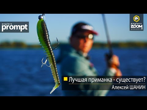 Видео: Лучшая приманка — существует? Алексей Шанин. Anglers Prompt