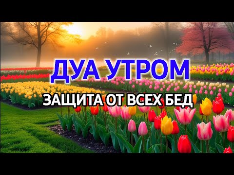 Видео: СИЛЬНЕЙШЕЕ ДУА УТРОМ ОТ ВСЕХ БЕД 🌹🌈