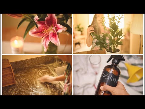 Видео: ВЛАЖНАЯ УБОРКА ДОМА🌿🌷☀️💦+ ДЕЗИНФЕКЦИЯ! СУПЕР МОТИВАЦИЯ НА УБОРКУ, ЧИСТОТУ И УЮТ❤️