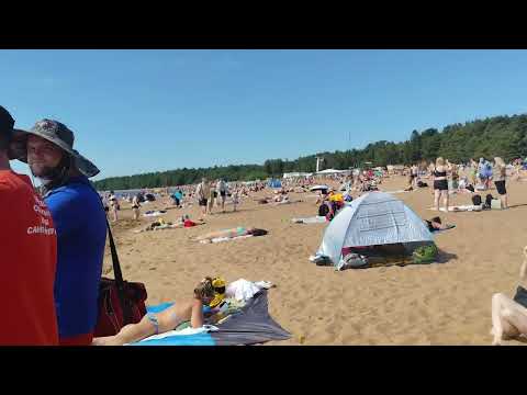 Видео: СПб Солнечное Пляж Ласковый