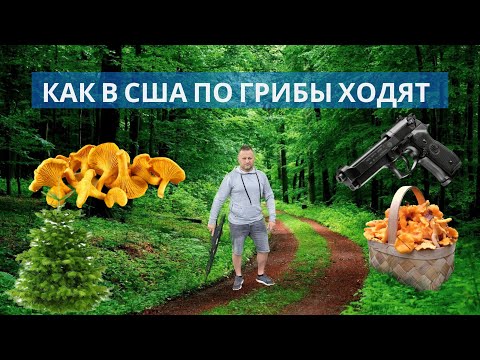 Видео: Как в США по грибы ходят.