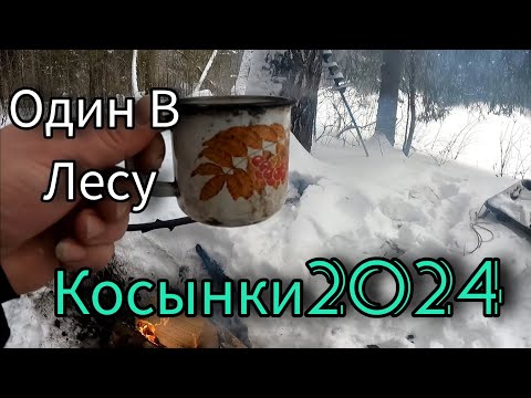 Видео: ВСЕ ЗАМЕЛО. ТУТ ОПАСНО НО ЛОВИТЬСЯ.ПРОБРАЛСЯ НА РЕКУ. ОДИН В ЛЕСУ. 40ка ПОЧТИ МОЛЧИТ.