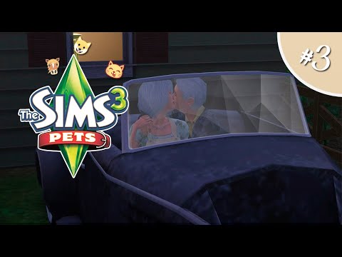 Видео: The Sims 3 ПИТОМЦЫ #3 Забрали в ПСИХУШКУ?!