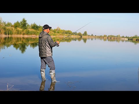 Видео: Ловлю Окуня під ногами на спінінг