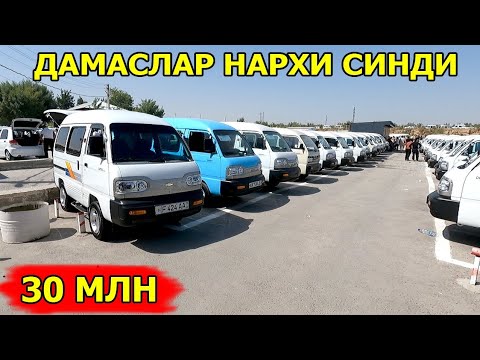 Видео: ДАМАСЛАР НАРХИ 2024 DAMAS NARXLARI 2024 САМАРКАНД МОШИНА БОЗОРИ 10.11.2024