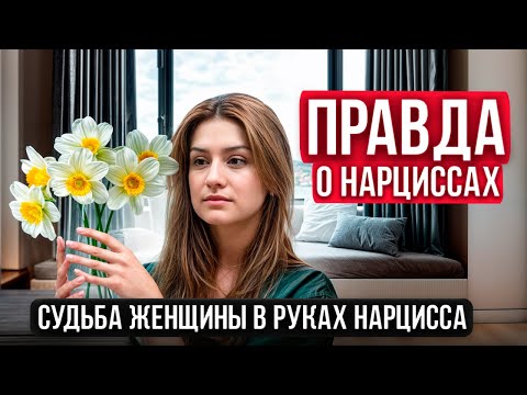 Видео: Нарциссы |  Как ими становятся | Меняются ли нарциссы