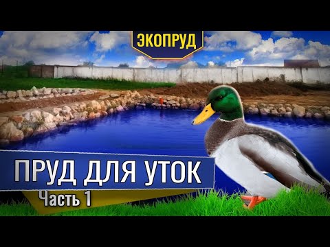 Видео: Пруд для уток с ручьём биоплато (часть1)