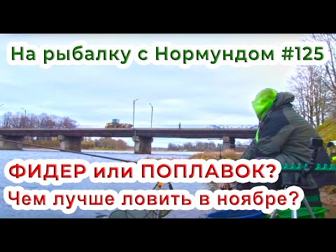 Видео: ФИДЕР или ПОПЛАВОК - чем лучше ловить в ноябре? / На рыбалку с Нормундом #125