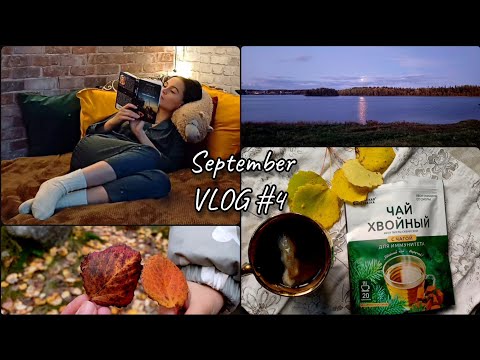 Видео: 🗓 September VLOG #4 🍂 Тихий и уютный ВЛОГ | ДОМ | Собираем листья в ЛЕСУ | ПРИРОДА осенью | ЧАЙ