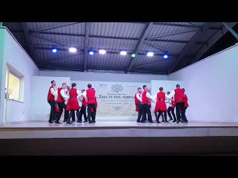 Видео: Лудо копано