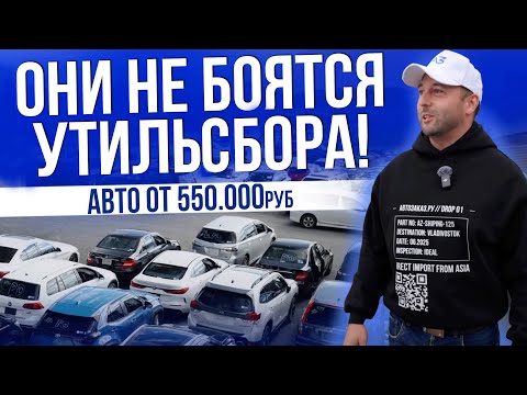 Видео: БОЛЬШОЙ ВЫБОР ДО 160 Л.C. | НОВОСТИ УТИЛЬСБОРА | AUDI RS8 | ЦЕНЫ 2025