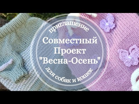 Видео: Приглашение в Совместный Проект по вязанию свитера "Весна-Осень"