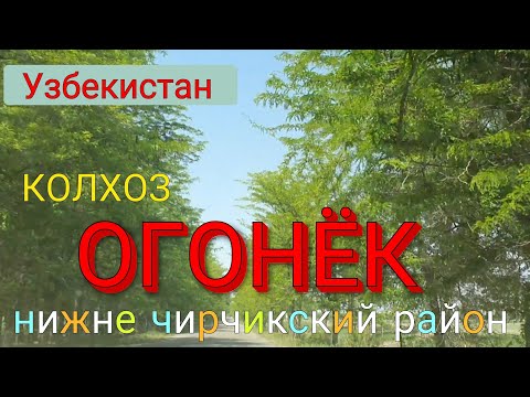 Видео: Узбекистан   колхоз ОГОНЕК   Нижне Чирчикский район