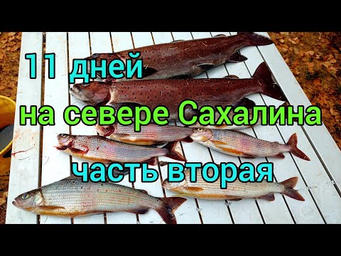 Видео: / 11 ДНЕЙ НА СЕВЕРЕ САХАЛИНА / ЛЕНОК / ХАРИУС/ ЧАСТЬ ВТОРАЯ / Сахалинская рыбалка & Sakhalin fishing