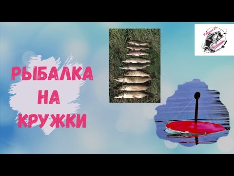 Видео: Рыбалка на кружки