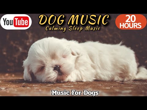Видео: 20 ЧАСОВ Успокаивающей Музыки для Собак 🐶💖 Облегчение Тревоги Разлуки 🦮🎵 ⭐ Healingmate