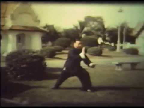 Видео: Мастер Дун Хулин (董虎岭老师 Dong Huling) — Комплекс (Taolu) 1953