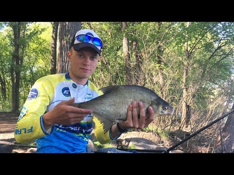 Видео: Ловля леща на реке с сильным течением