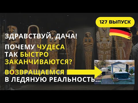 Видео: Дача в Германии. Кто устроил этот погром? Что случилось за время нашего романтического путешествия?
